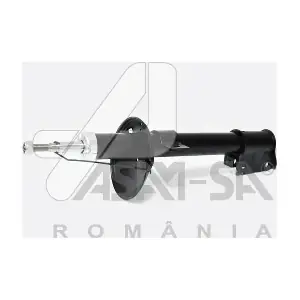 ASAM AUTOMOTIVE 30950
