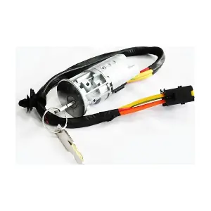 30820 ASAM AUTOMOTIVE