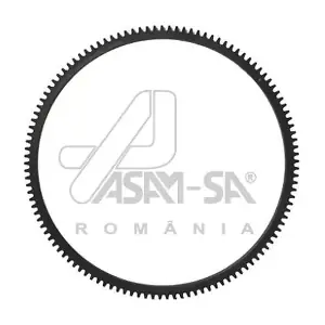 30080 ASAM AUTOMOTIVE