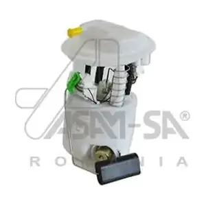 ASAM AUTOMOTIVE 30290