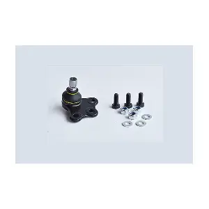 74597 ASAM AUTOMOTIVE