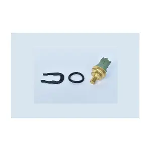 ASAM AUTOMOTIVE 74639