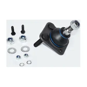 30056 ASAM AUTOMOTIVE