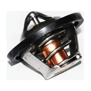ASAM AUTOMOTIVE 73347