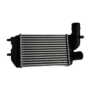 32518 ASAM AUTOMOTIVE
