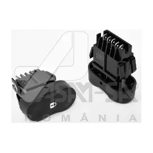 30993 ASAM AUTOMOTIVE