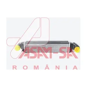 32423 ASAM AUTOMOTIVE