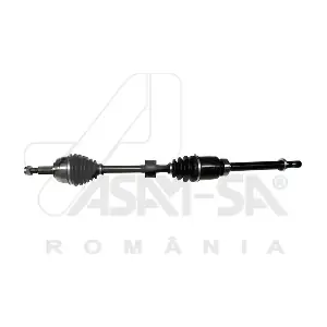 32021 ASAM AUTOMOTIVE
