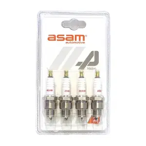 ASAM AUTOMOTIVE 01119