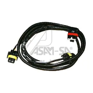 17028 ASAM AUTOMOTIVE