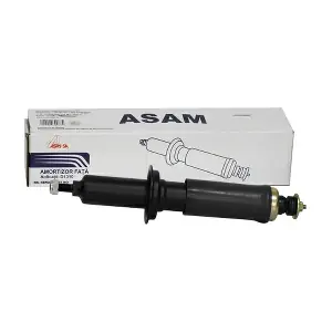 30087 ASAM AUTOMOTIVE