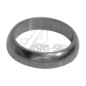 30599 ASAM AUTOMOTIVE