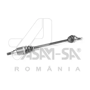 30954 ASAM AUTOMOTIVE