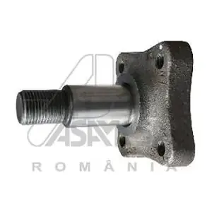 30319 ASAM AUTOMOTIVE