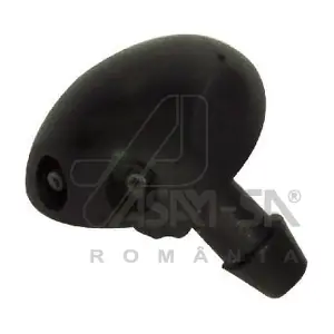 30418 ASAM AUTOMOTIVE