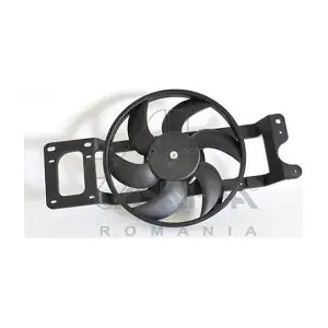 30444 ASAM AUTOMOTIVE
