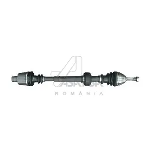 30379 ASAM AUTOMOTIVE