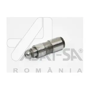 30946 ASAM AUTOMOTIVE