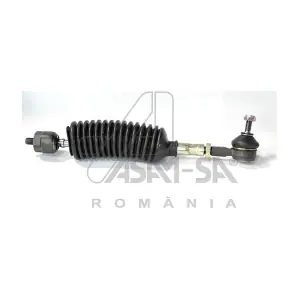 30121 ASAM AUTOMOTIVE