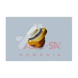ASAM AUTOMOTIVE 71766