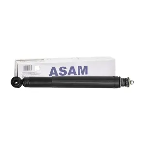 30124 ASAM AUTOMOTIVE