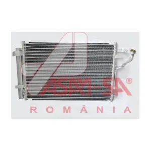 32411 ASAM AUTOMOTIVE