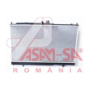 32431 ASAM AUTOMOTIVE