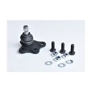 74596 ASAM AUTOMOTIVE