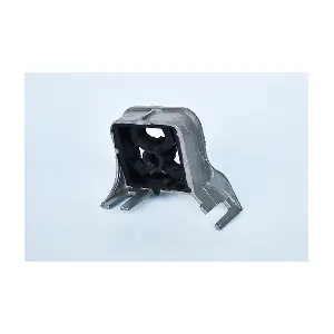 55889 ASAM AUTOMOTIVE