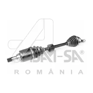 30999 ASAM AUTOMOTIVE