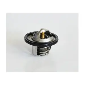 30653 ASAM AUTOMOTIVE