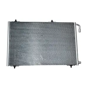 32312 ASAM AUTOMOTIVE