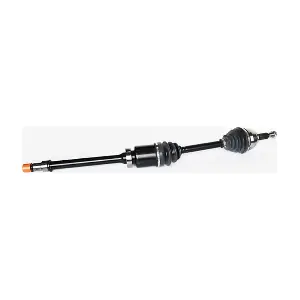 75381 ASAM AUTOMOTIVE