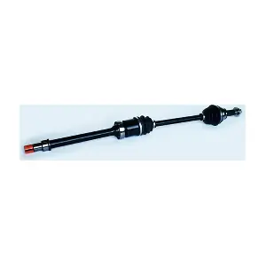75405 ASAM AUTOMOTIVE