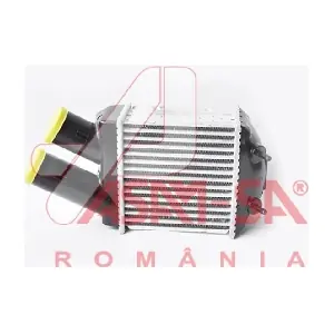 32425 ASAM AUTOMOTIVE
