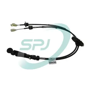 082489 SPJ