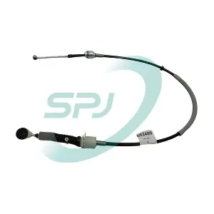 082499 SPJ
