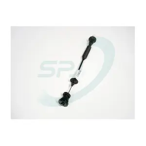910613 SPJ
