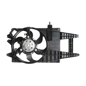 EFI192 DOGA