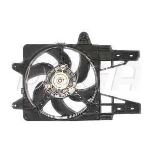 EFI024 DOGA