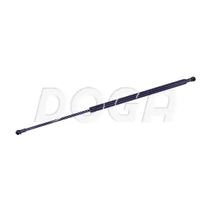 2003813 DOGA