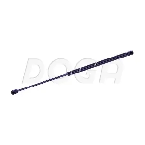 2021293 DOGA