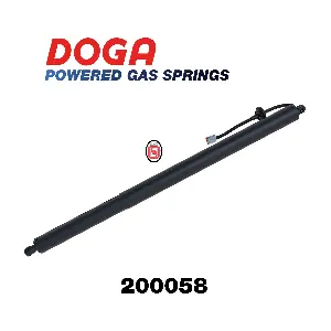 200058 DOGA