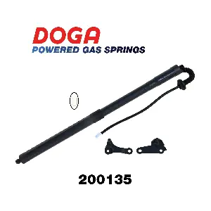 DOGA 200135