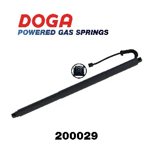 200029 DOGA