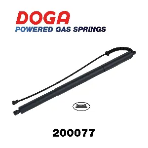 200077 DOGA
