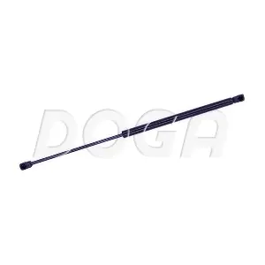 2019413 DOGA