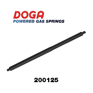 200125 DOGA
