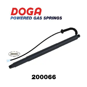 200066 DOGA