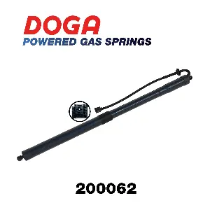 200062 DOGA
